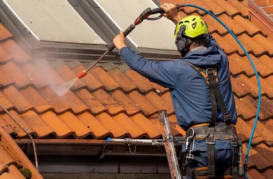 Démoussage et hydrofuge de toiture à Nieuil